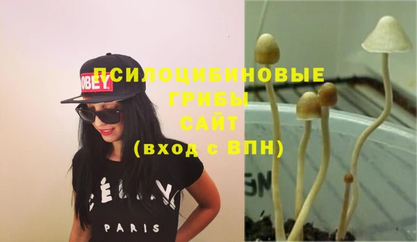 наркотики Белокуриха