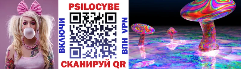 Псилоцибиновые грибы Cubensis Уссурийск