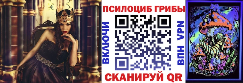 Псилоцибиновые грибы Psilocybe  Уссурийск 